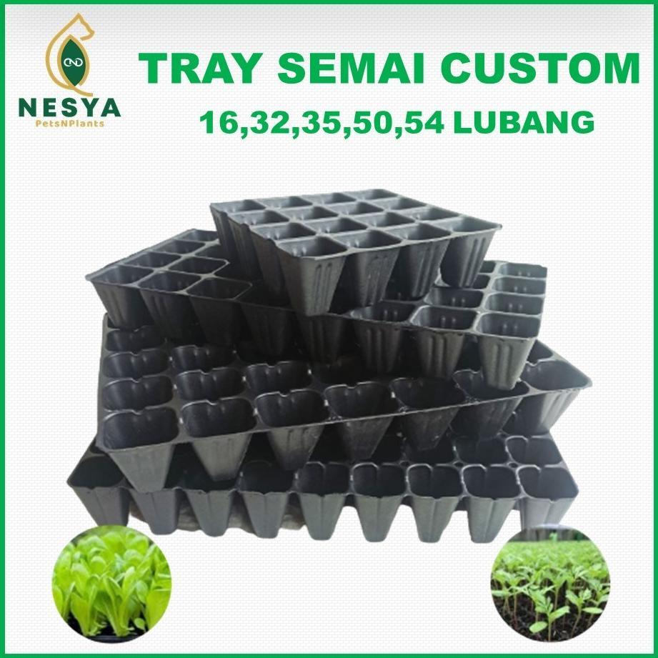 Bisa Cod Ya Kak Tray Semai Trai Semai Custom Potray Wadah Semai Skala Hobi ,,,