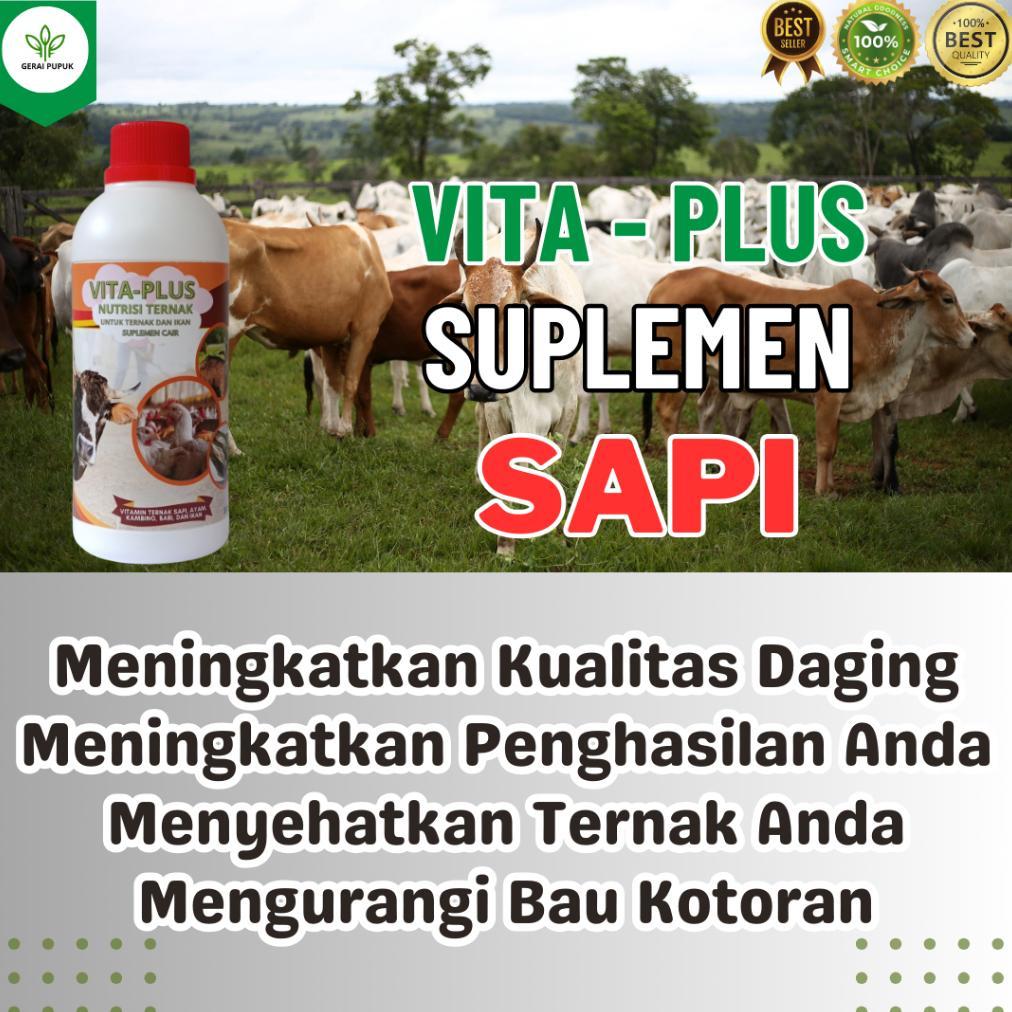 Vitaplus Suplemen Ternak Untuk Penggemukan Sapi Vitamin Ternak Obat Fermentasi Ternak Obat Hewan