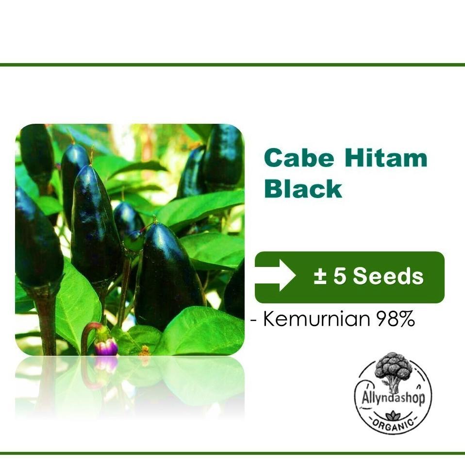 Promo Cod Benih Cabe Rawit Unggul Dan Varietas Lainnya 