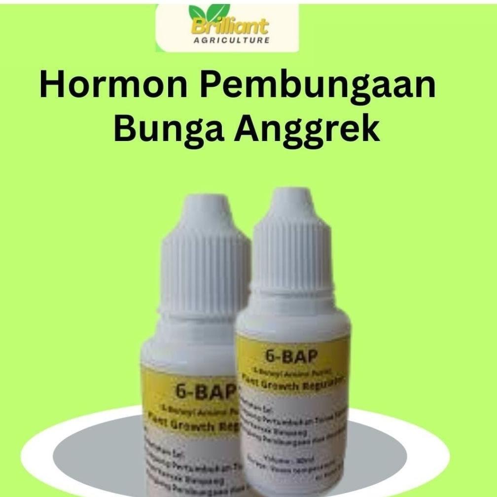 Promo Cod Super Murah!!! Hormon Anggrek 6 Bap Kuning 30 Ml (Cocok Untuk Penumbuhtunas &Pembungaan An