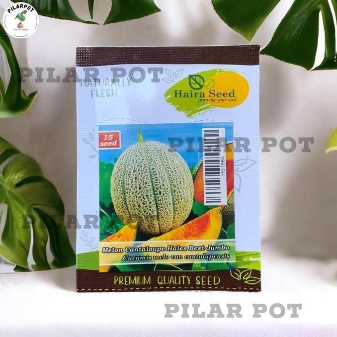 Benih Bibit Melon Cantaloupe Hales Best Jumbo Haira Seed - CANTALOUPE