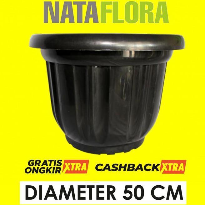 Pot Besar 50 Cm Jumbo Tebal Dan