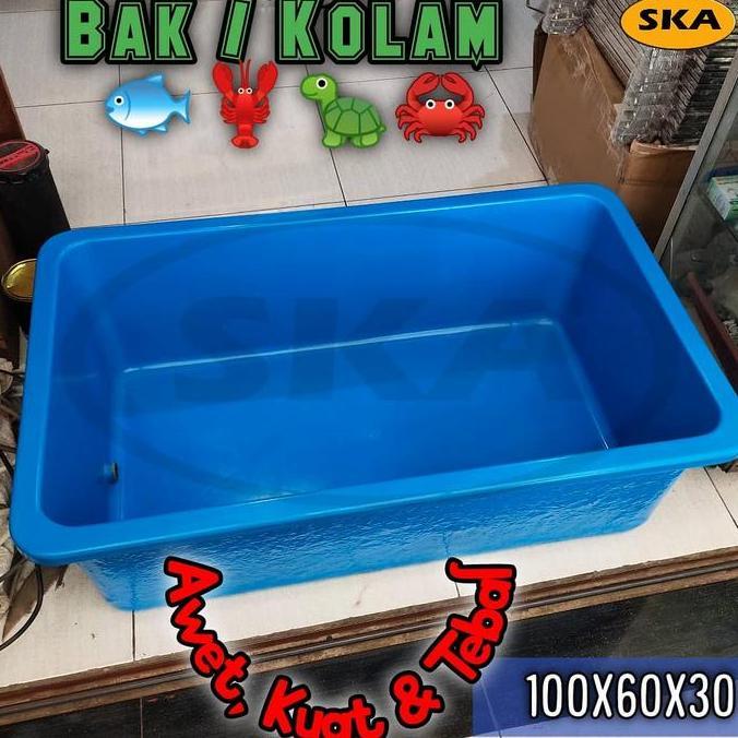Bak Kolam ikan + Bak kura kura + Khusus Cargo