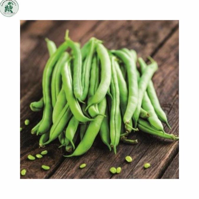 Benih Bibit Buncis Tresna Cap Panah Merah - BUNCIS TRESNA EAST WEST SEED