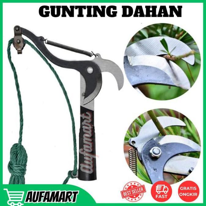 Gunting Dahan Pohon Dan Ranting Tinggi Tanpa Panjat Pohon