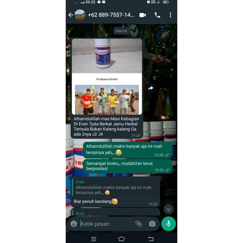 Jamu Merpati Kolong Pil Trisula 100 Butir Jamu Burung Merpati Tinggi Vitamin Burung Merpati Doping M