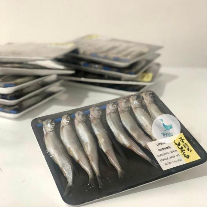 Terlaris Ikan Shisamo / Shisamo Fish / Capelin