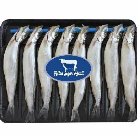 Terlaris Ikan Shisamo Frozen (Pck)