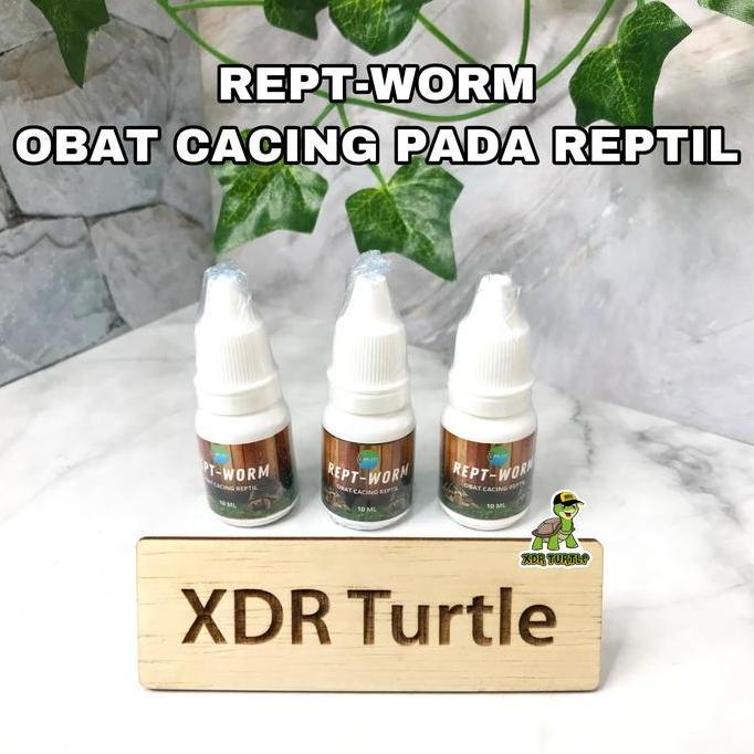 REPT-WORM OBAT CACING REPTIL KURA DARAT SULCATA FORSTENI PARDALIS