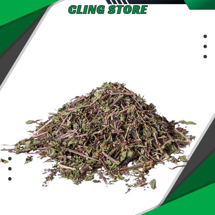 [1KG] DAUN MINT KERING PREMIUM BEST QUALITY