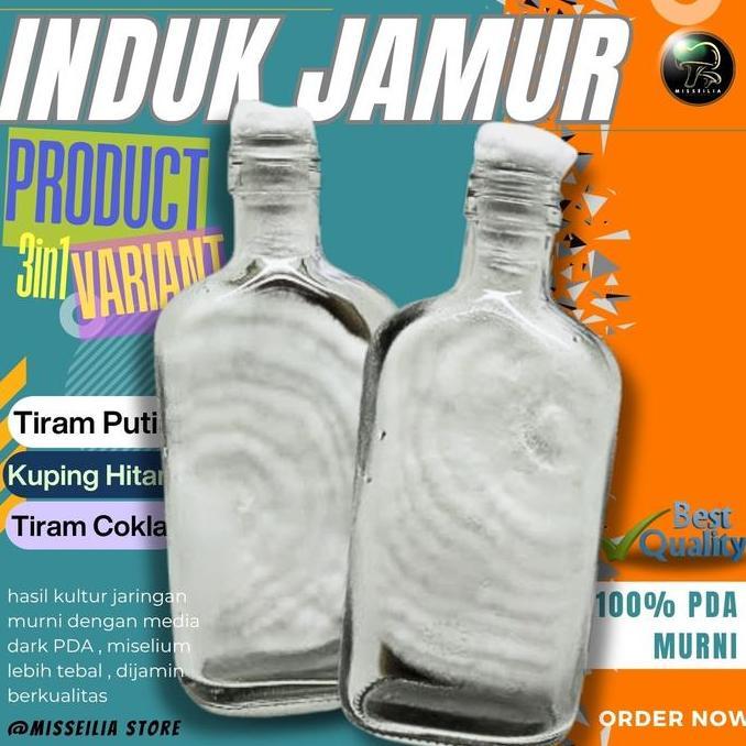 Varian 3 Bibit Jamur F0 Tiram Coklat - Tiram Putih -Jamur Kuping Induk Benih Unggul Murah Bergaransi