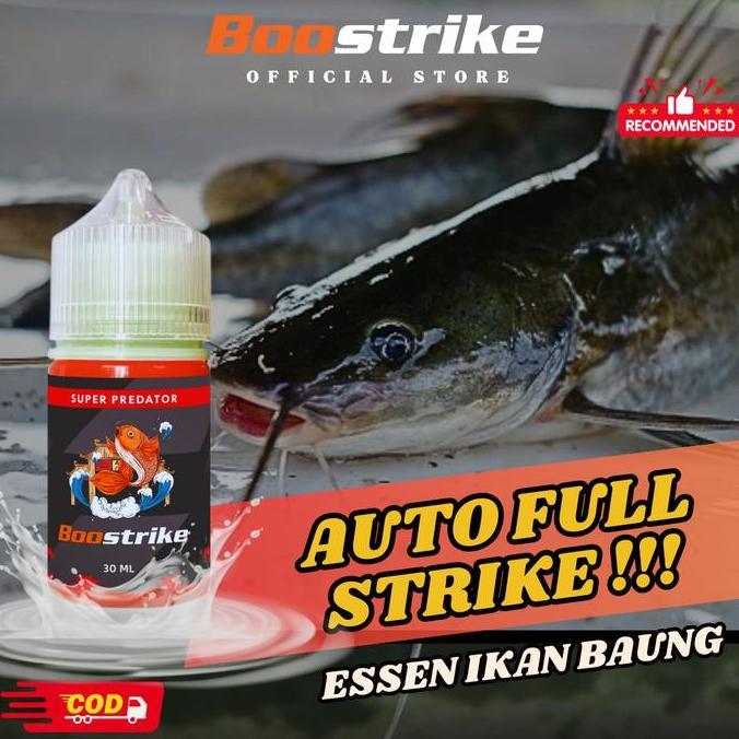 Essen Oplosan Umpan Mancing Ikan Baung Paling Jitu Pancing Lele