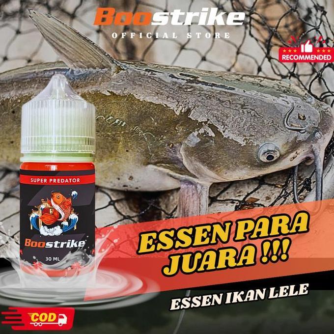 Essen Ikan Lele Media Umpan Daging Ayam Giling