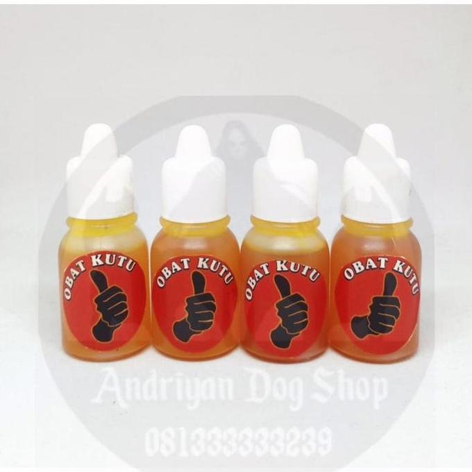 Obat kutu anjing murah ampuh