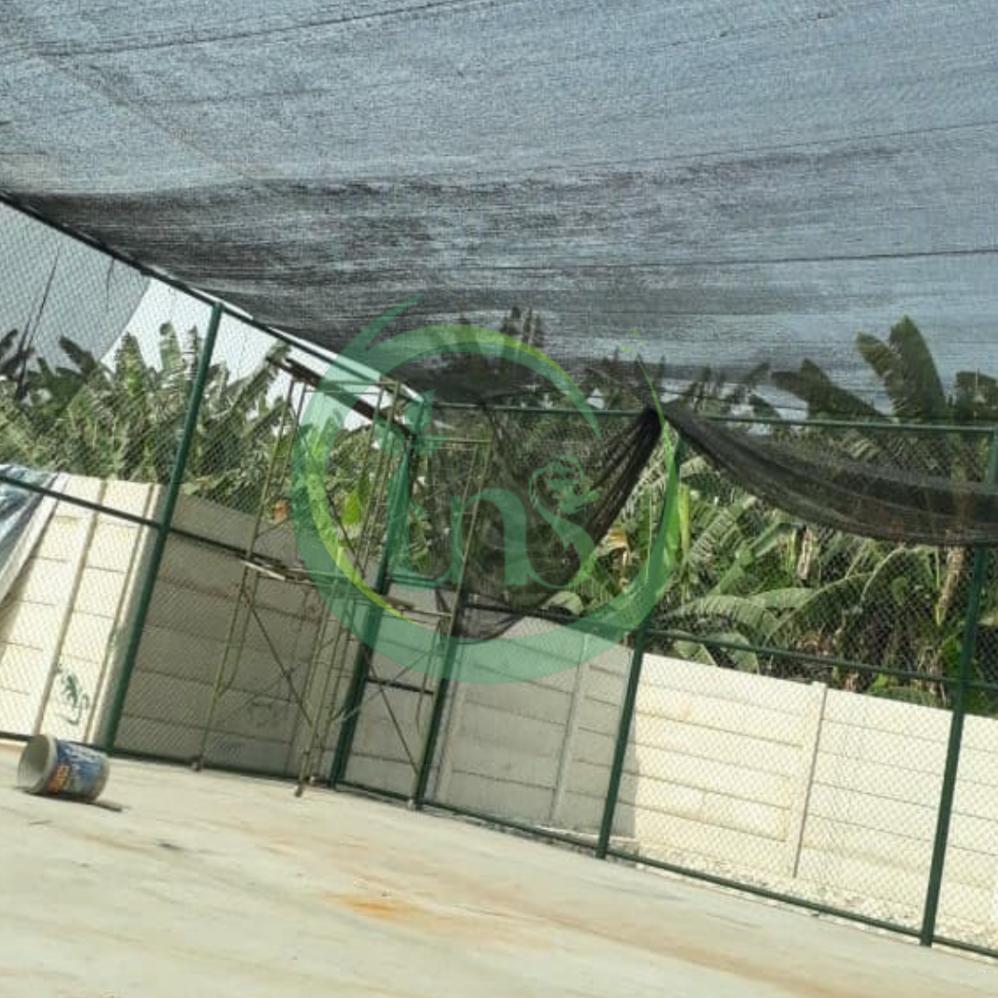 Bisa Cod Paranet Tanaman 65% 3M X 1M Jaring Anti Panas Untuk Pertanian & Perkebunan ||