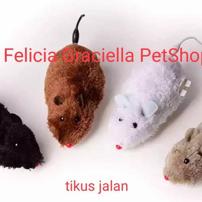 mainan tikus jalan kucing