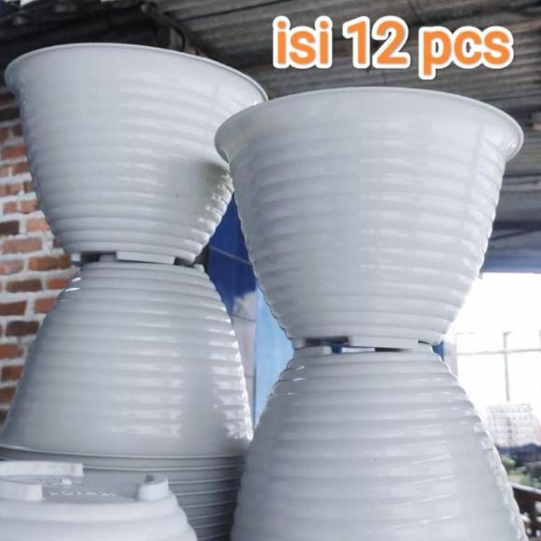12pcs / pot tawon 25 putih perlusin Grosir 1/2 lusin pot bunga el tawon ukuran 25 isi 12 pcs Termura