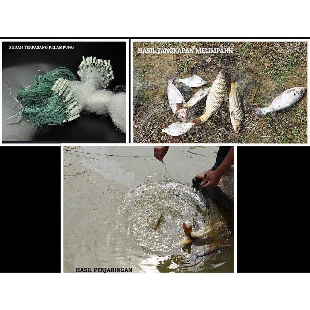 Farzana - Pukat Jala Ikan Jadi 20 Meter Lengkap Tinggal Pasang - Kekinian