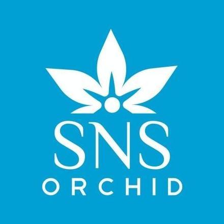 New- Remaja Anggrek Bulan Phalaenopsis Hybrid Warna Koleksi Bibit Bunga