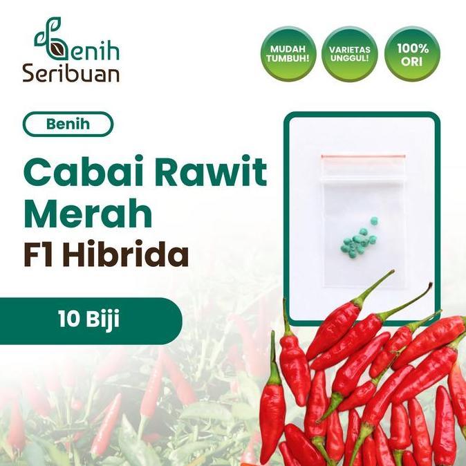 10 Benih Cabe Rawit Hibrida F1 Lentera Benih Cabai Rawit Merah Setan