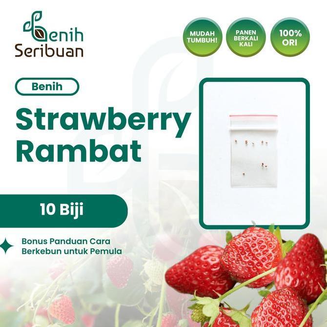 10 Benih Strawberry Rambat Import Benih Buah Stroberi Manis Unggul