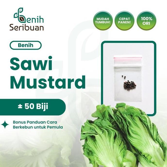 50 Benih Sawi Mustard Head Lettuce Known You Seed Bibit Sayur Unggul