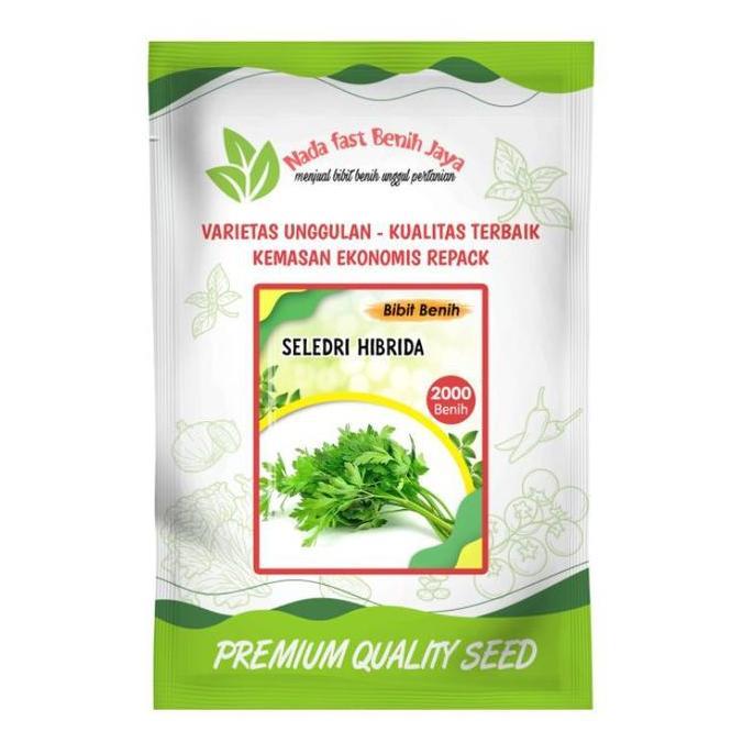 2000 biji benih sayuran seledri hibrida - bibit sayuran seledri