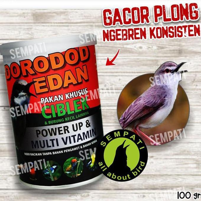 Dorodod Edan Ciblek Voer Halus Pakan Burung Ciblek