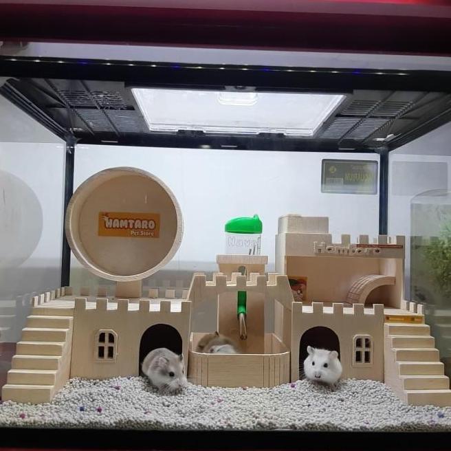 Terarium Kandang Hamster Besar Dan Lucu Mewah Dan Fullset Kandang Hamster Lucu