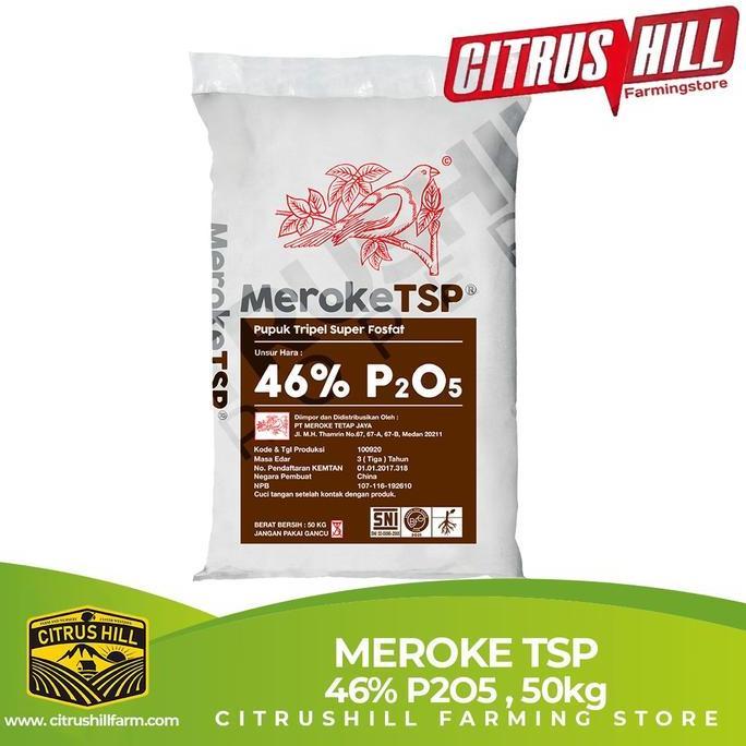 MEROKE TSP - 50kg (1 KARUNG)