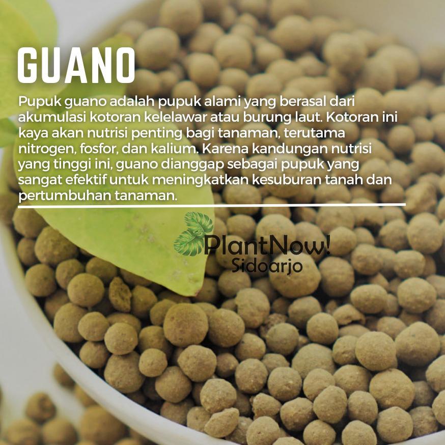 Bisa Cod Pupuk Organik Guano Phosphate - Pupuk Penyubur Tanaman Meningkatkan Kesuburan Media Tanam (