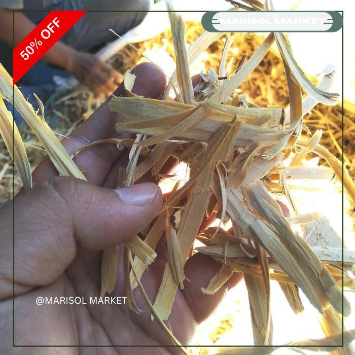 HERBAL DORO PUTIH 1KG / BIDARA LAUT / KAYU ULAR / WIDORO KUALITAS TERBAIK