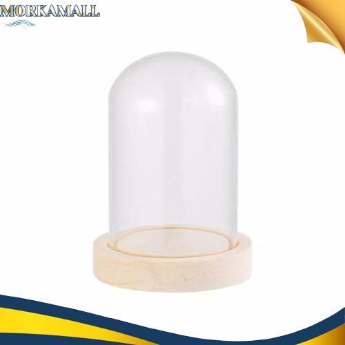Dome tabung kaca glass tube terarium Termurah
