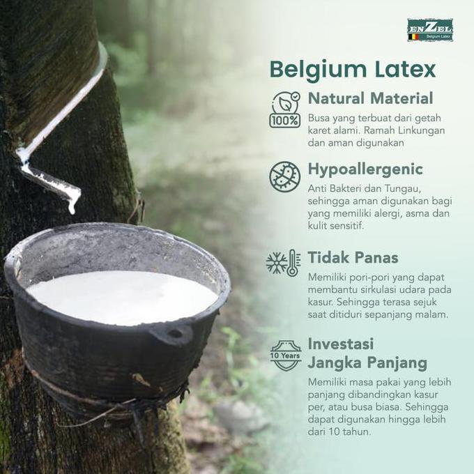 Newcap- Enzel - Kasur Kesehatan Full Latex Orthopedic / Hard - Neoclassica20Cm Uk 120X200