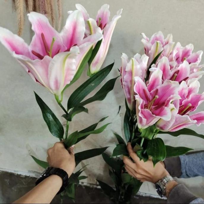 Flwr- Bunga Lily Casablanca