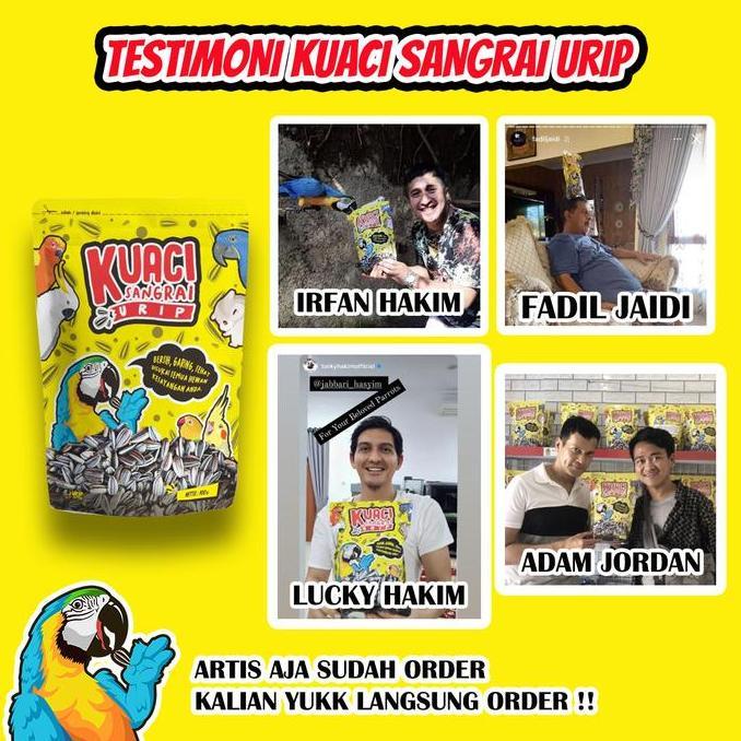 Britis- Kuaci Sangrai Super Jumbo Untuk Burung Kakatua Macaw Afgrey Amazon