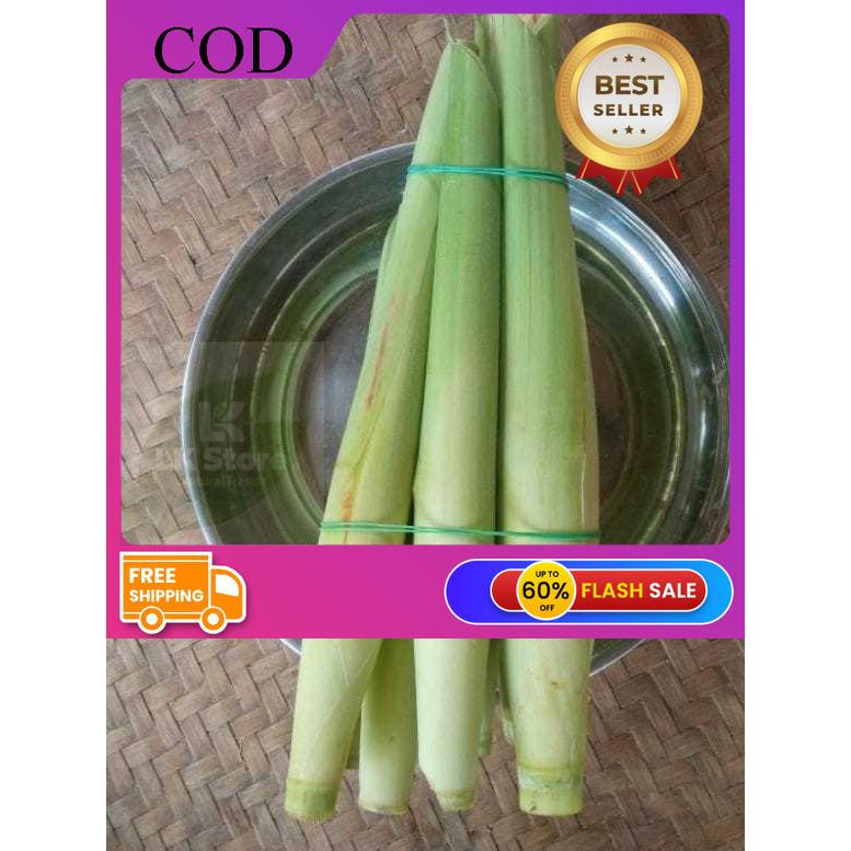 TERUBUS TELUR TEBU TERUBUK 1KG