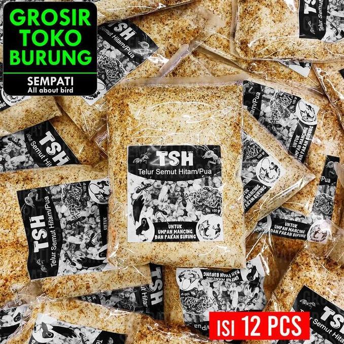 PROMO DISKON - SEMPATI GROSIR TSH Telur Semut Hitam Isi 12 Pcs Pakan Burung Serbuk Telur Pua Poa Pen