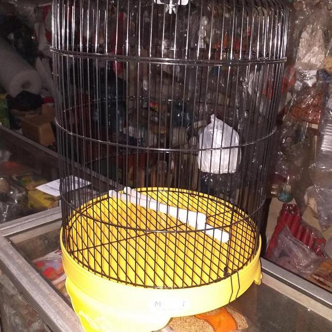PROMO - Kandang love bird pendek my best satu set