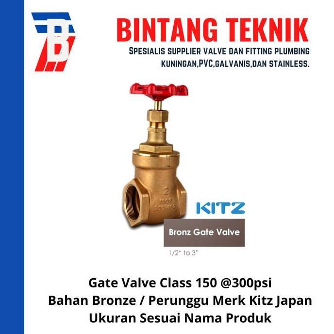 Gate Valve 3/4" inch Bronze Kitz Class #150