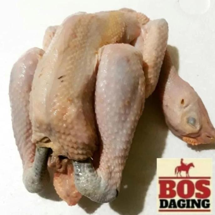 Daging ayam kampung utuh dijamin fresh segar