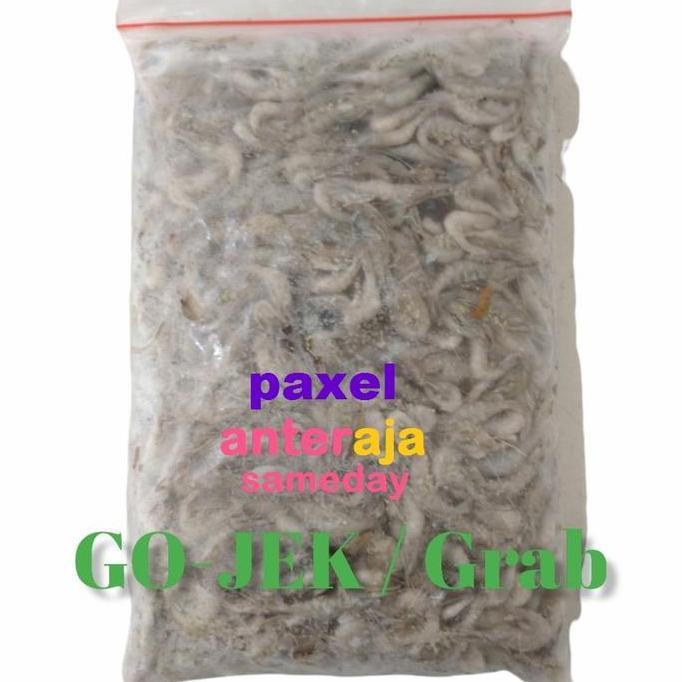 udang beku pakan ikan arwana