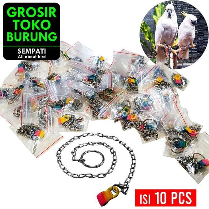NEW SEMPATI GROSIR Rantai Borgol Burung Nuri Falk Parkit Parrot Hantu Isi 10 Pcs Rantai Kaki Burung 
