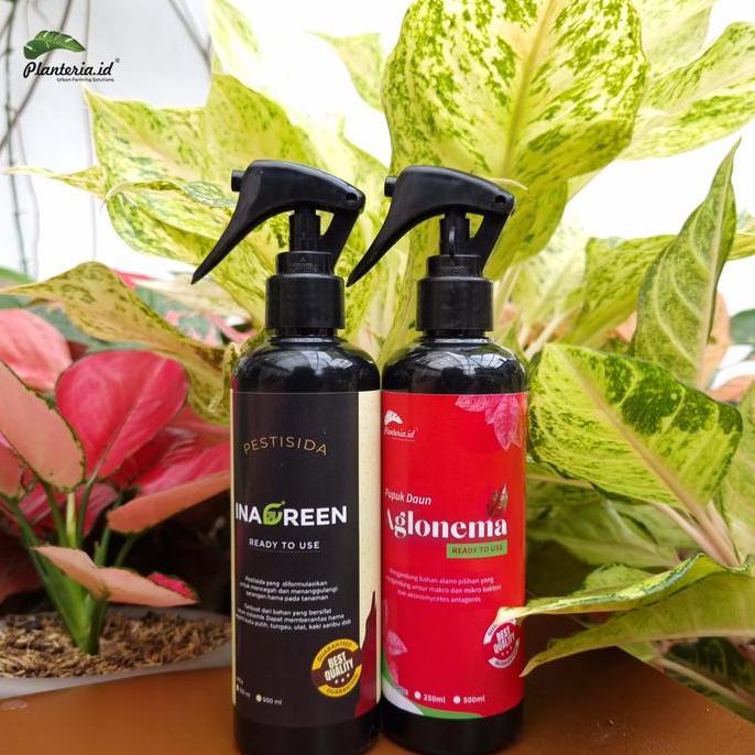 Bundling Hemat Pupuk Aglonema 250Ml+Pestisida 250Ml Berkualitas Daun Tanaman