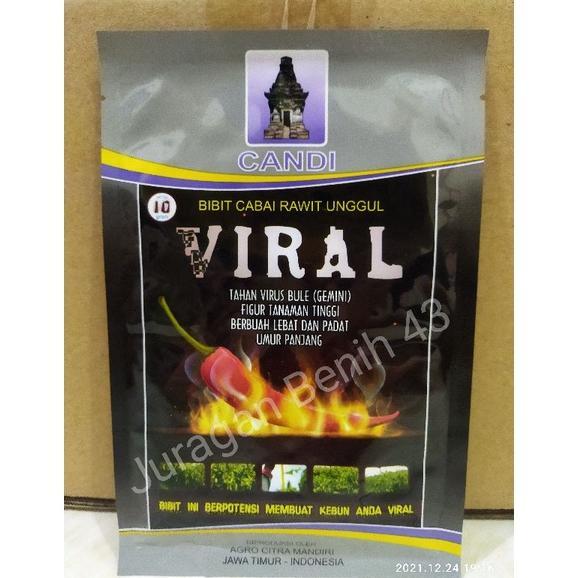 Benih Cabe Viral 10 Gram Unggul Tahan Antraknose