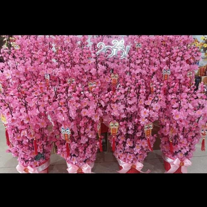 Pohon meihua imlek sakura