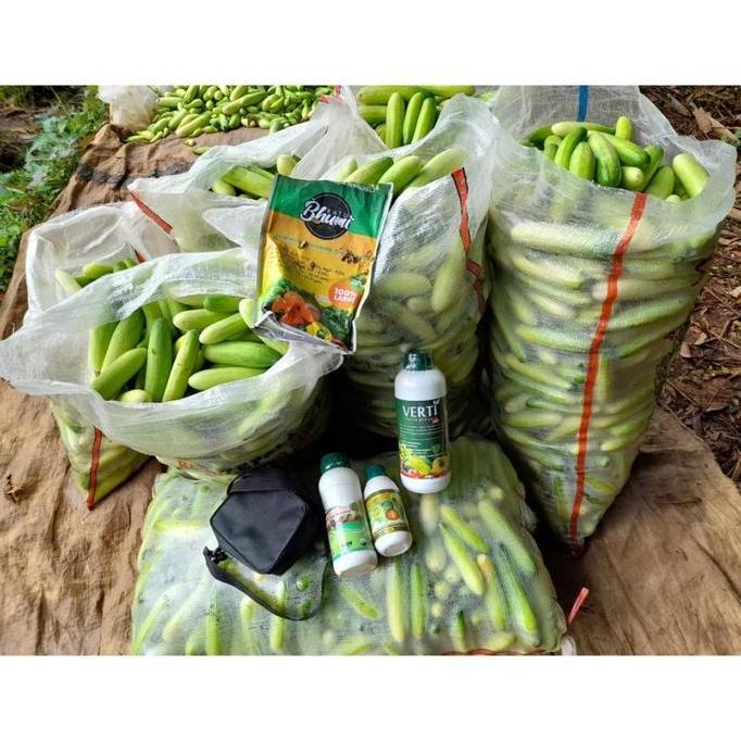 Gaerdenpic- Pupuk Npk Cair Verti-Grow Pupuk Pelebat Padi Plus Perekat 1 Liter Pohon Tanaman