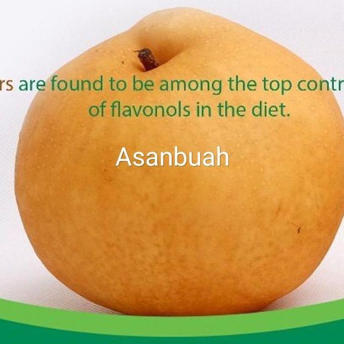 NEW PEAR SINGO KOREA PREMIUM / ONS ASLI PIR COKLAT YS SK ORGANIC SEOKWANG BEST