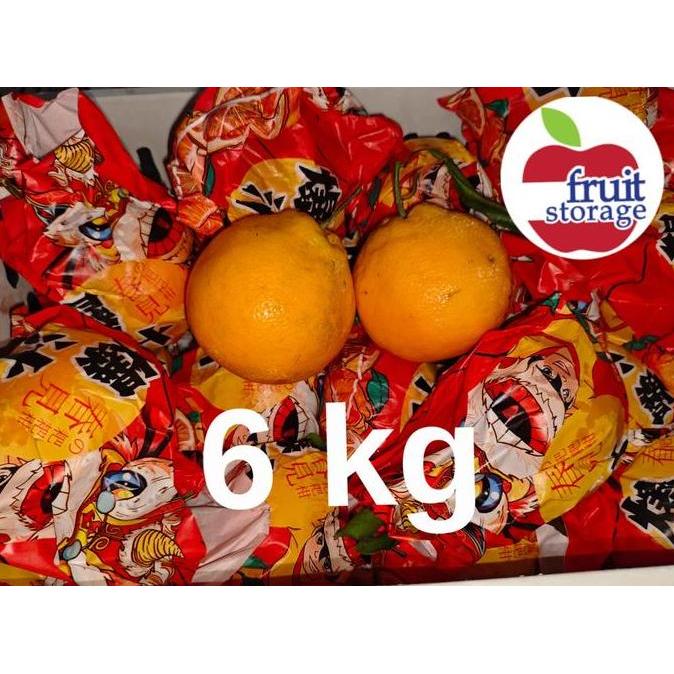 NEW JERUK MANDARIN CHUNJIAN / DEKOPON / SUMO / PAPAGAN BEST