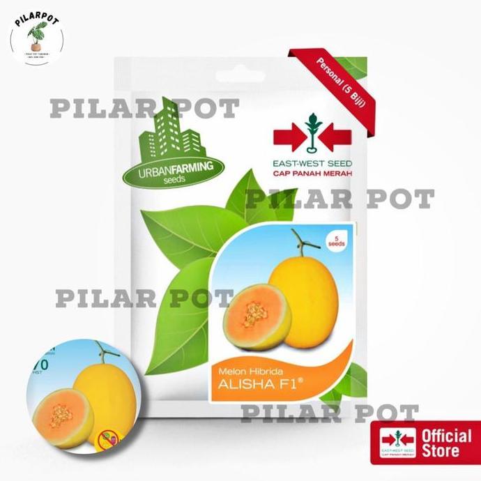 benih bibit melon hibrida alisha f1 cap panah merah - MELON ALISHA F1